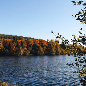 Balade romantique en 2CV en Bourgogne pour un moment dâĂ©vasion Ă deux