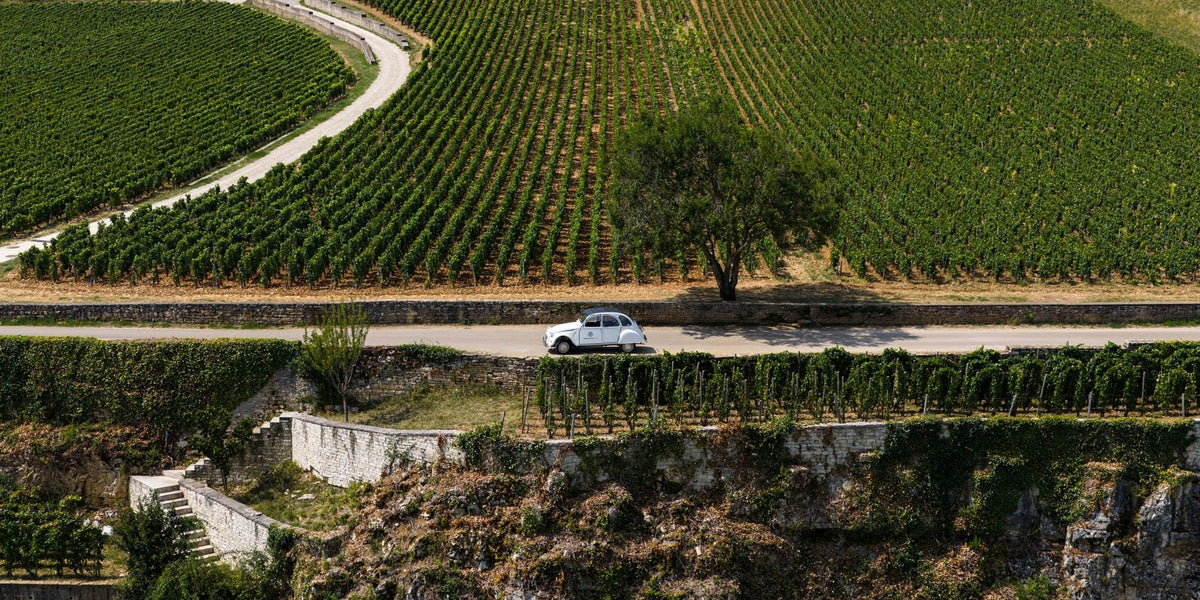 Comment visiter la Route des Grands Crus en Bourgogne ?