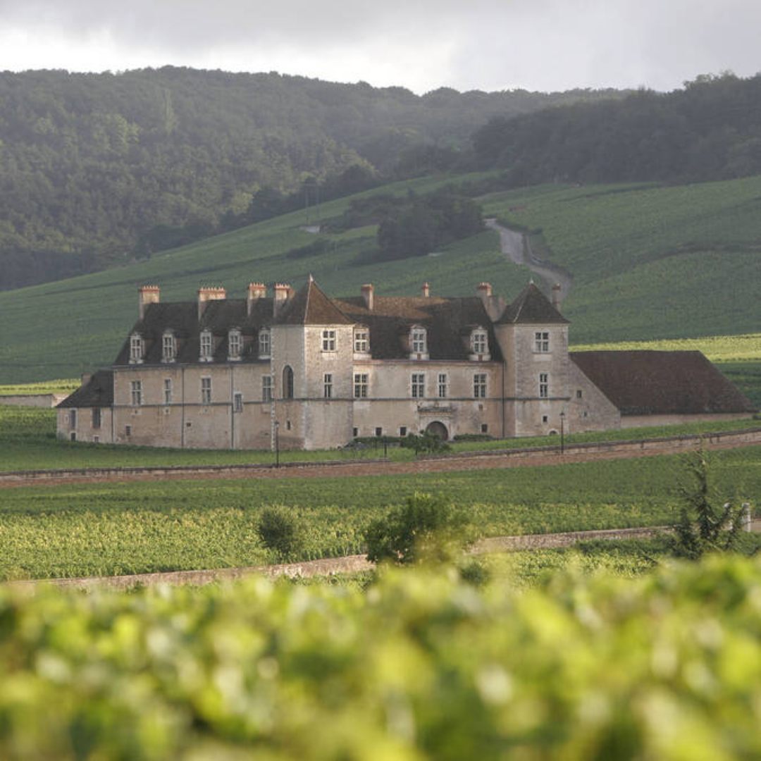 Visite du Château du Clos Vougeot • 2 personnes