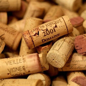 Cadeau week-end œnologie en Bourgogne – immersion complète dans les vignobles et les vins de la région